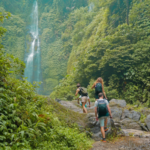 Noord-Bali Watervallen Tour